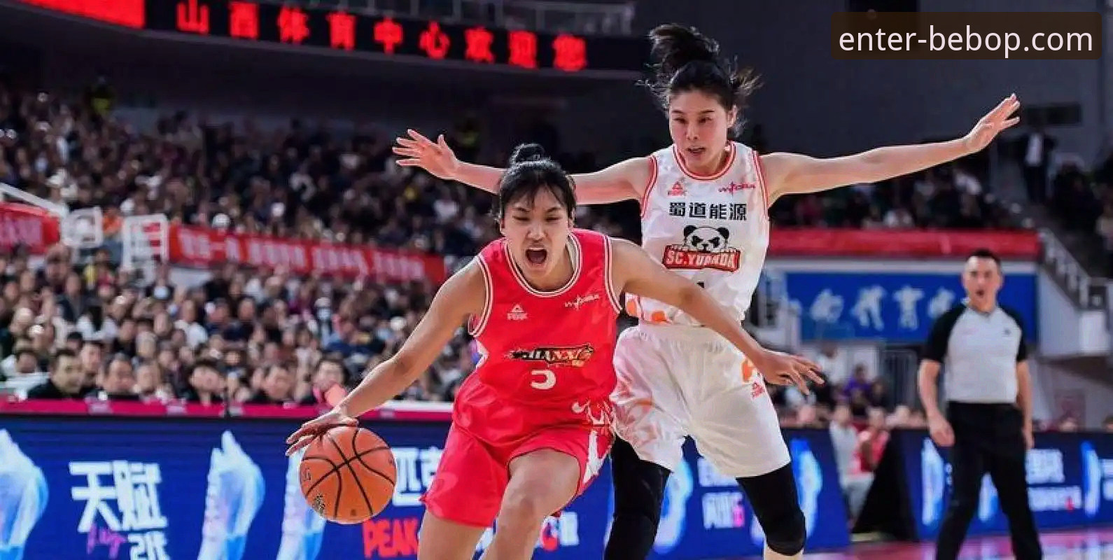 WCBA总决赛创分差纪录，四川女篮大胜山西引关注最新动态